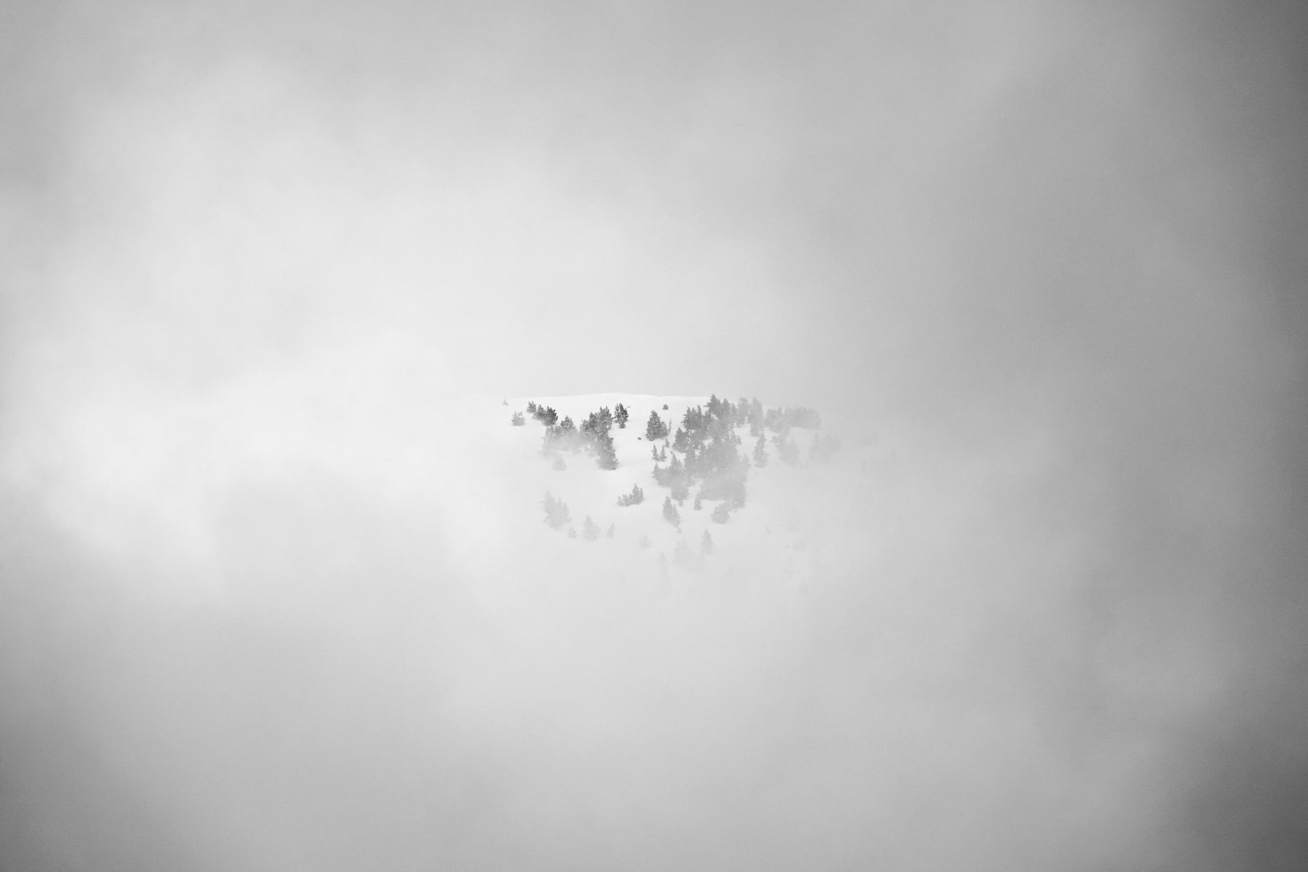 img 20260728 110338